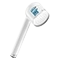30261