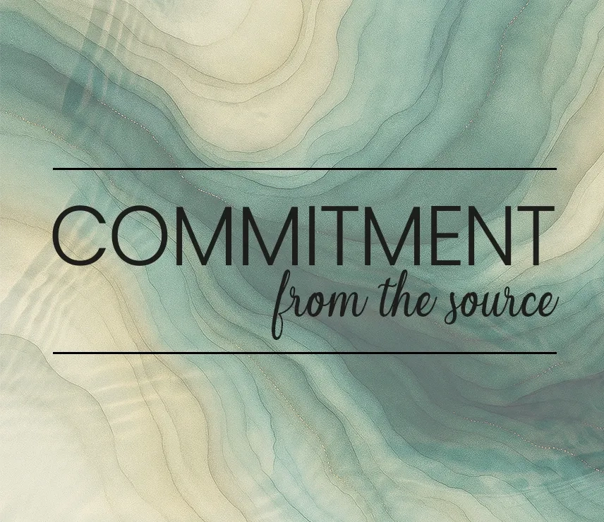 DELABIE's commitment